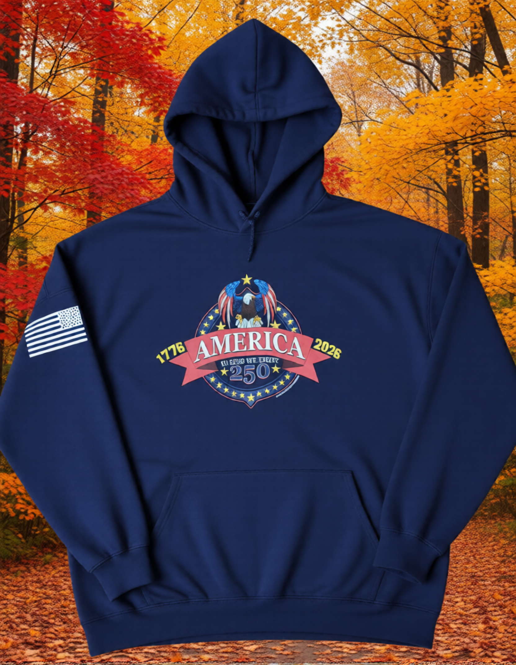 America 250 Hoodie